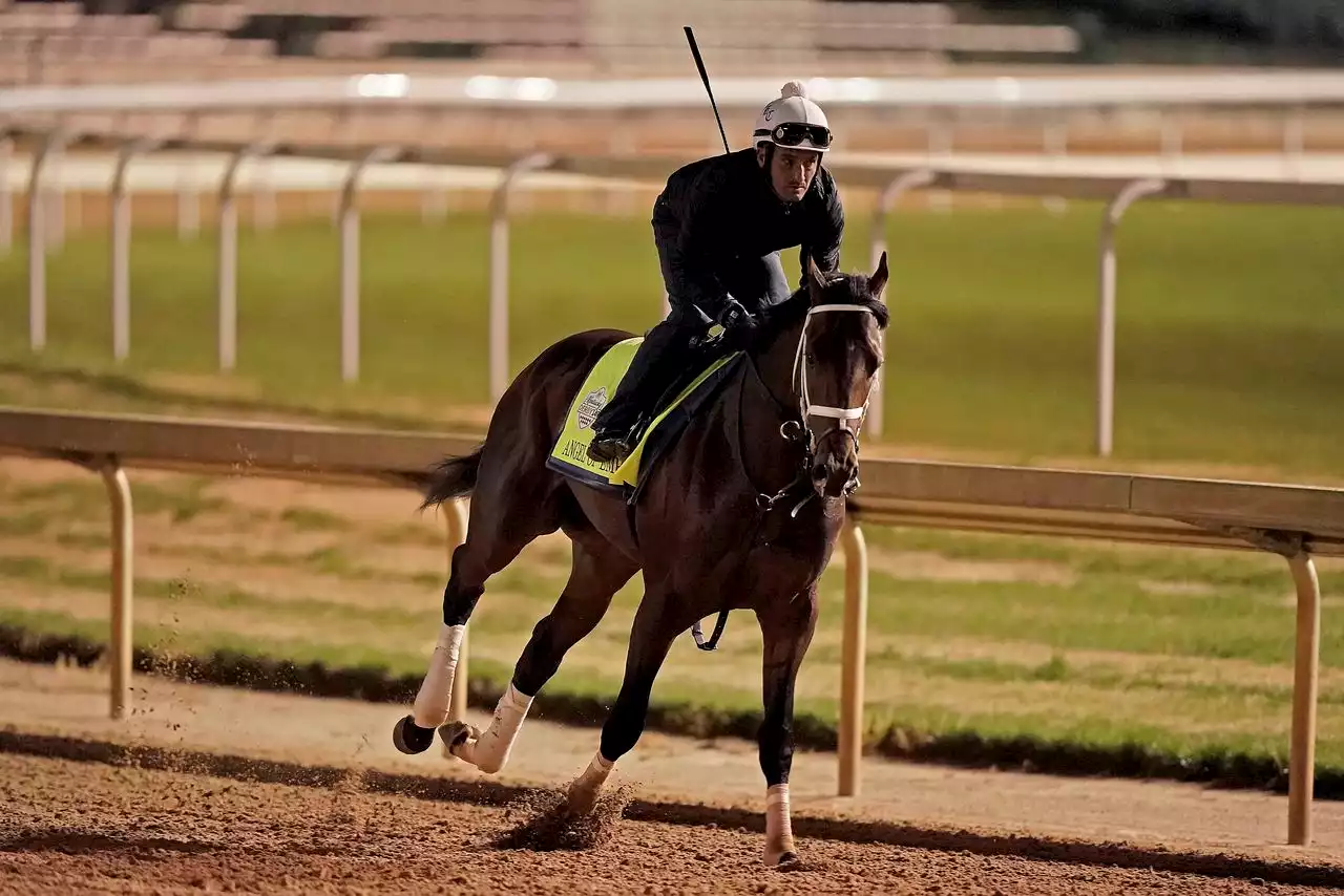 Horse-racing handicapper makes Pa.-bred colt his pick to capture Kentucky Derby