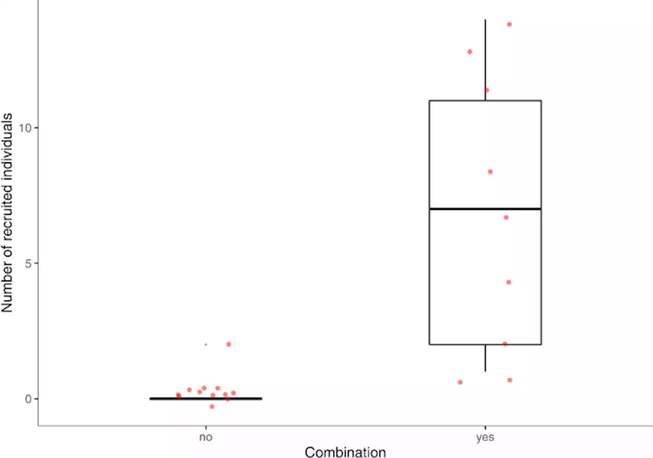 Call combinations and compositional processing in wild chimpanzees - Nature Communications