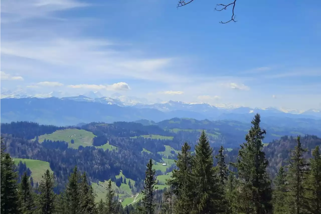 Wetter: Heute wurde lokal der erste Sommertag dieses Jahres erreicht