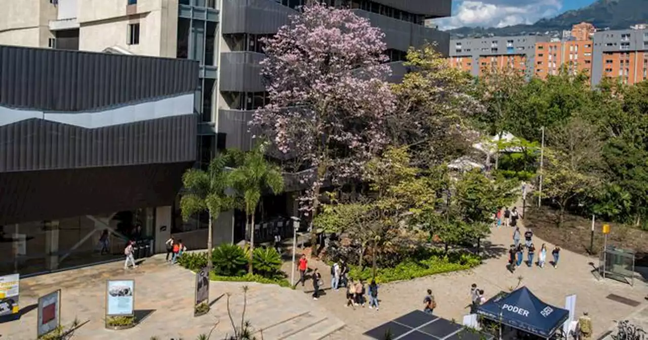 2000 Becas Talento están disponibles para los jóvenes del país sin recursos para pagar la universidad