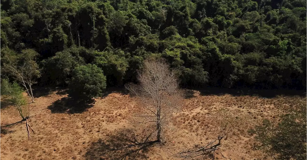 Climate shocks could push 3 million Brazilians into extreme poverty, says World Bank