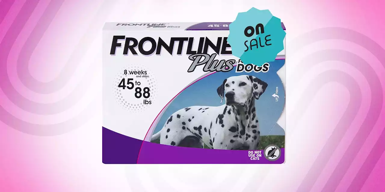 Keep Ticks Away From Your Dog With Up to 43% Off Frontline Plus Products at Amazon