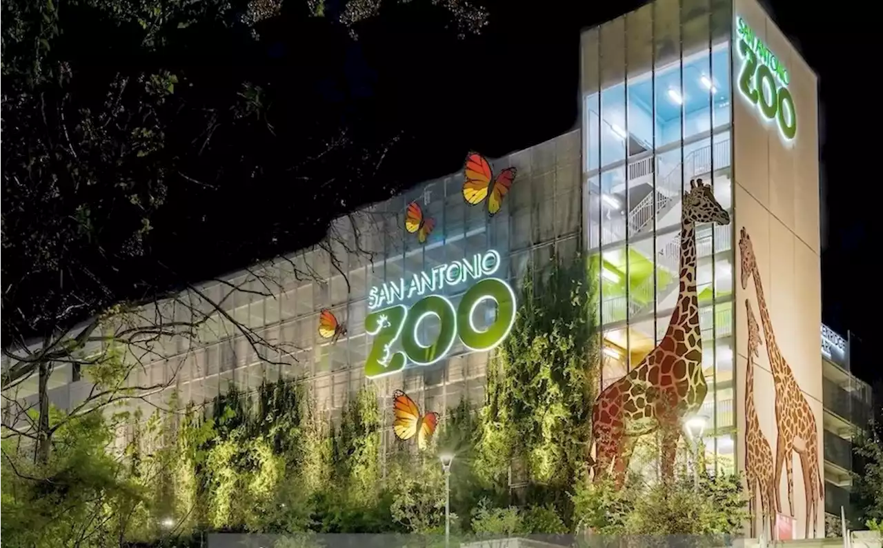 Family injured by falling branch at San Antonio Zoo files $1 million lawsuit