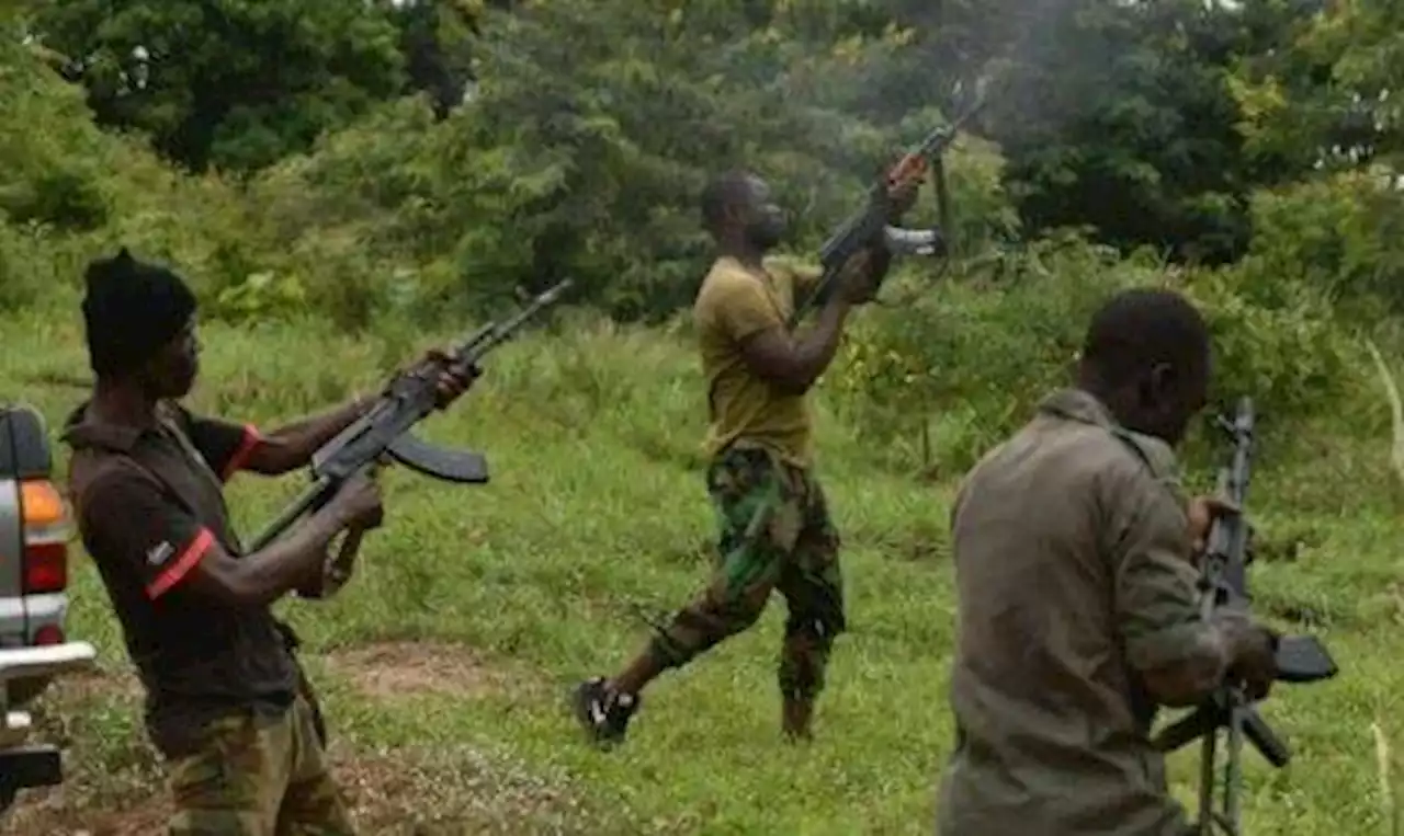 Gunmen Shoot Dead Three Policemen In Anambra Community, Cart Away Rifles | Sahara Reporters