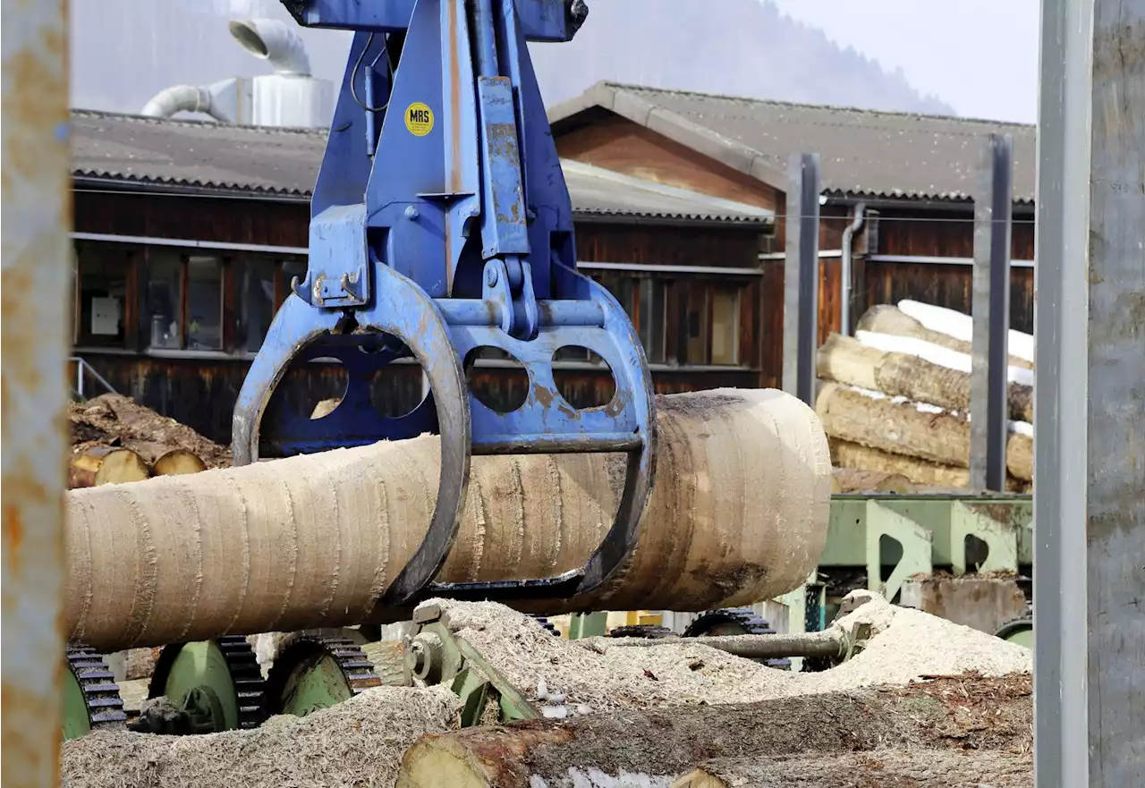 Nationalrat will Holzverarbeitung fördern - Schweizer Bauer