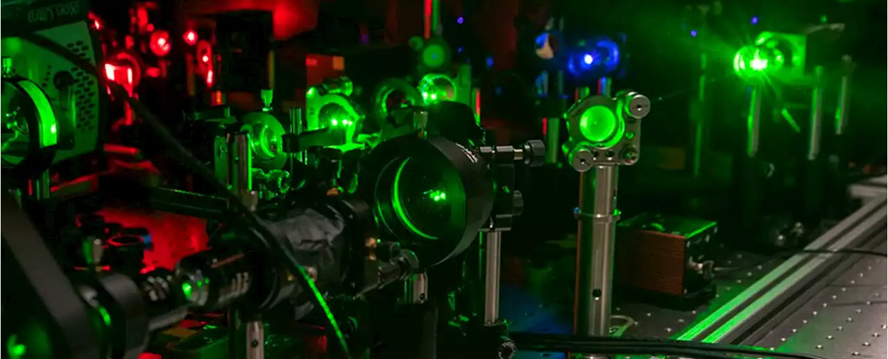 Light Microscopes See Smaller Than Ever Using a Weird Quantum Trick