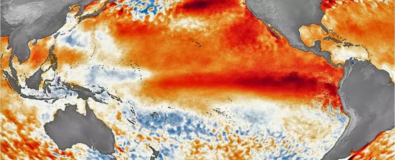 UN Warns Developing El Niño Could Seriously Add to Warming Woes in 2024