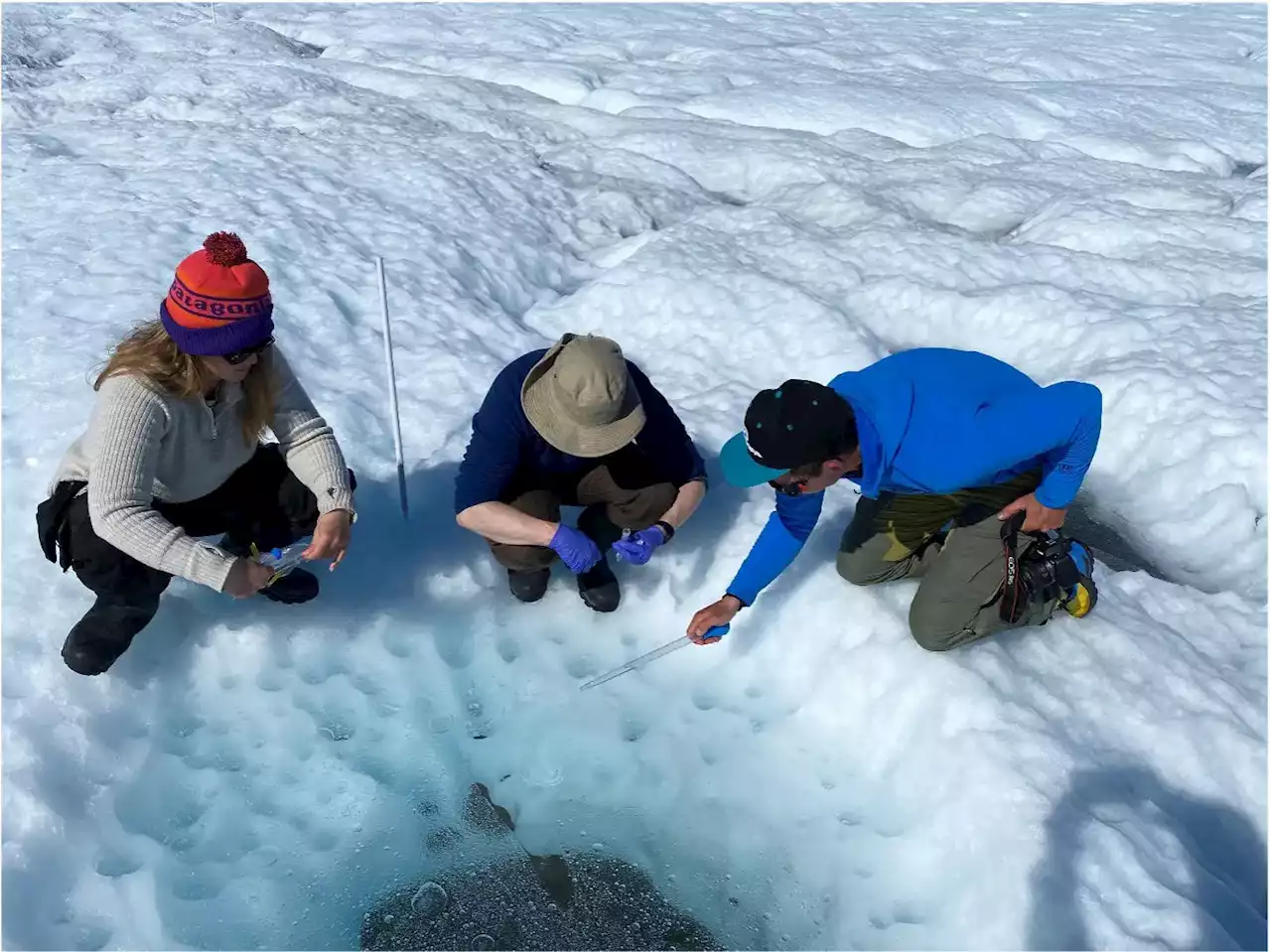 Scientists Discover a Teeming World of Life at the Ice Cap