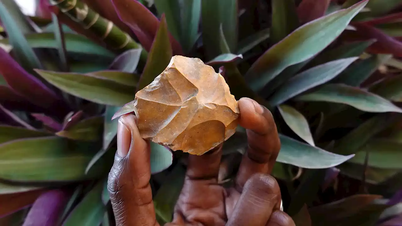 Stone Age Time Capsule: West Africa’s Oldest Occupied Site Unearths 150,000 Years of History