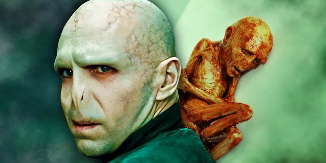 The Harry Potter Books Revealed 1 Way Voldemort Could Have Been Saved