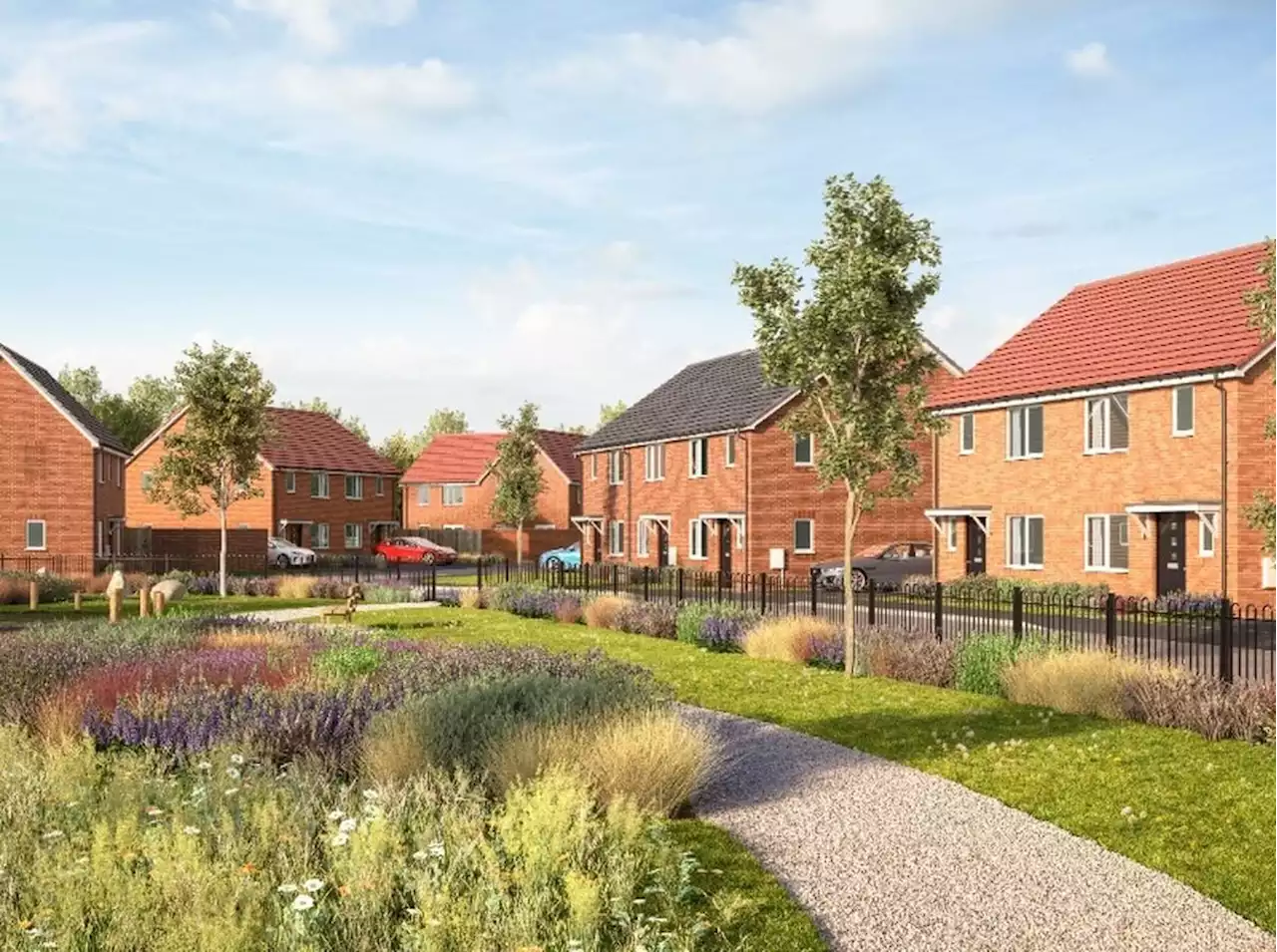 New homes at Telford development launched for rental this month