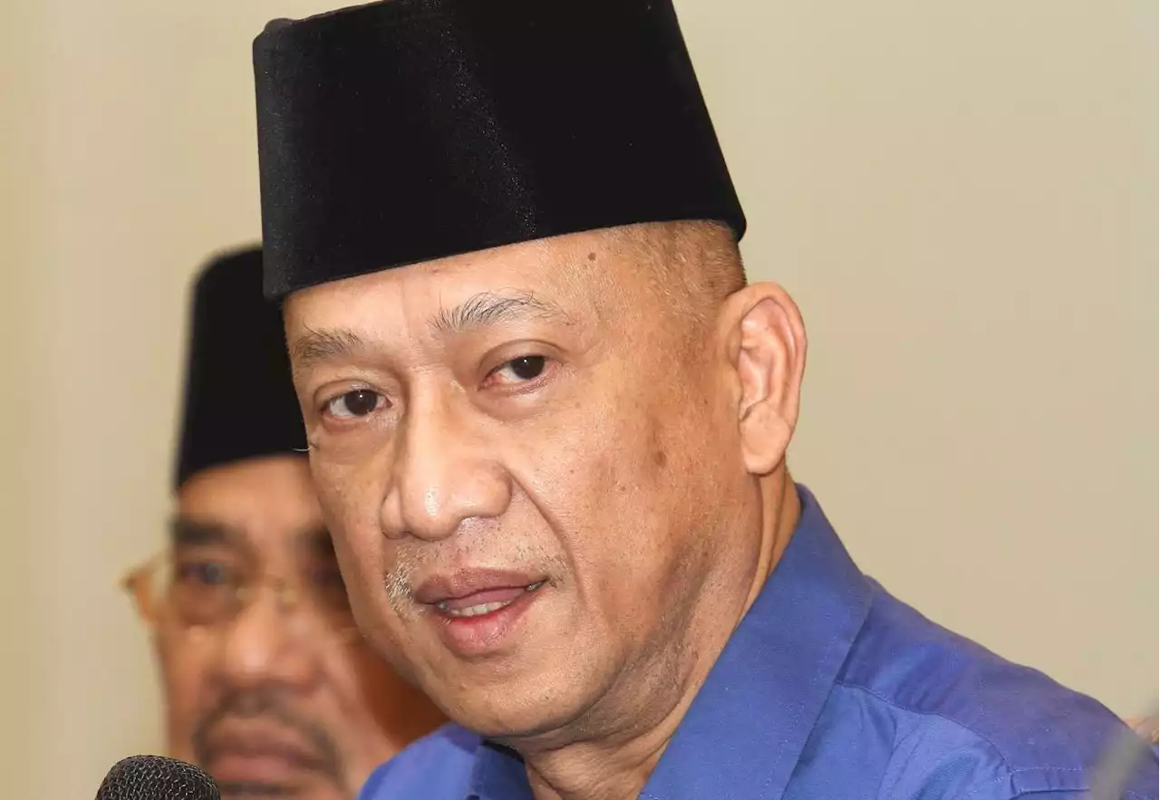 Attempts to topple govt will chase away foreign investors, says Nazri