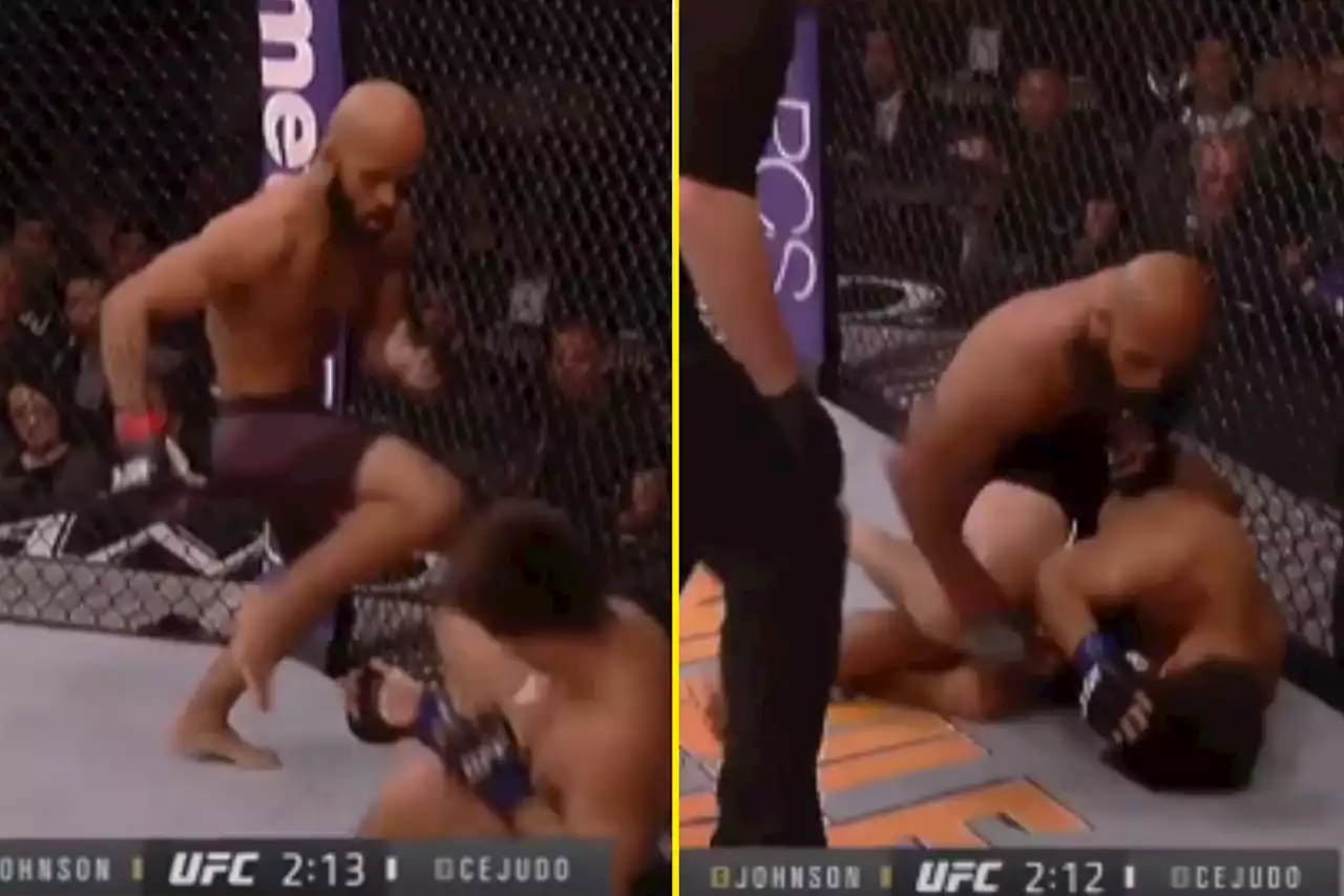 Henry Cejudo was brutally KO'd by Demetrious Johnson in first UFC title shot