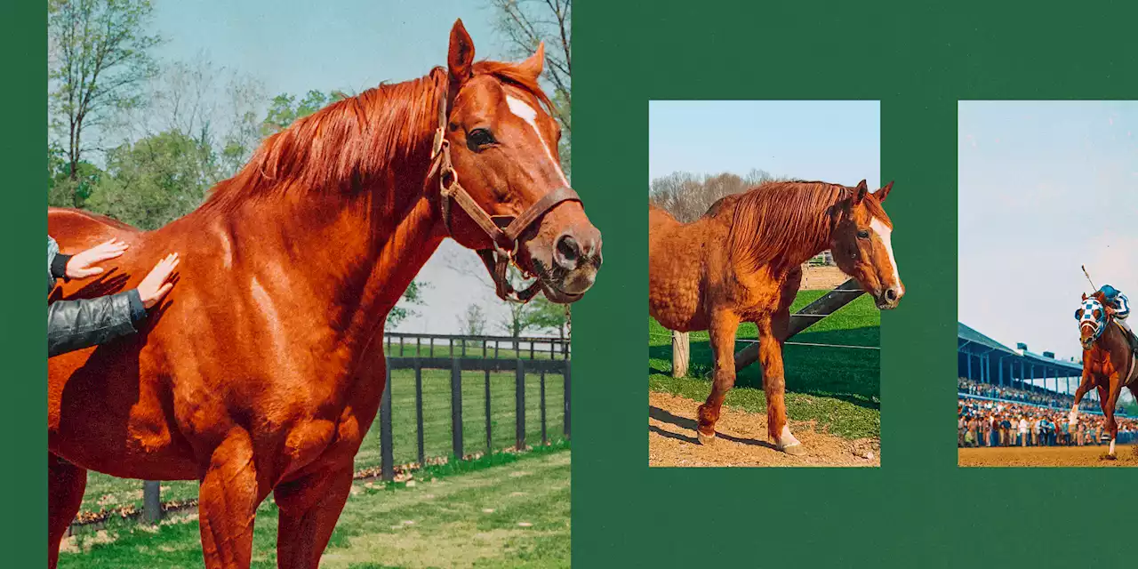 A world away from Kentucky Derby glory, Secretariat's forgotten daughter found a bright future