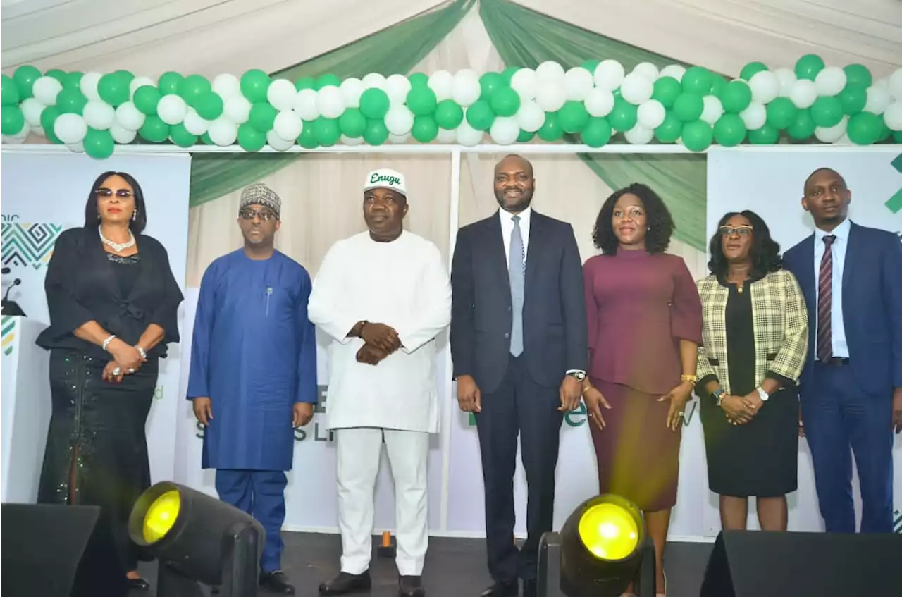 NSIA sets up healthcare companies in Enugu, seeks investment in sector | TheCable