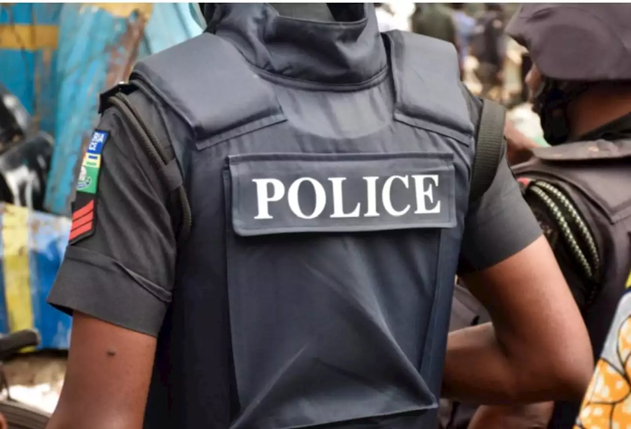 Police kill 'armed robber', recover stolen car in Delta | TheCable