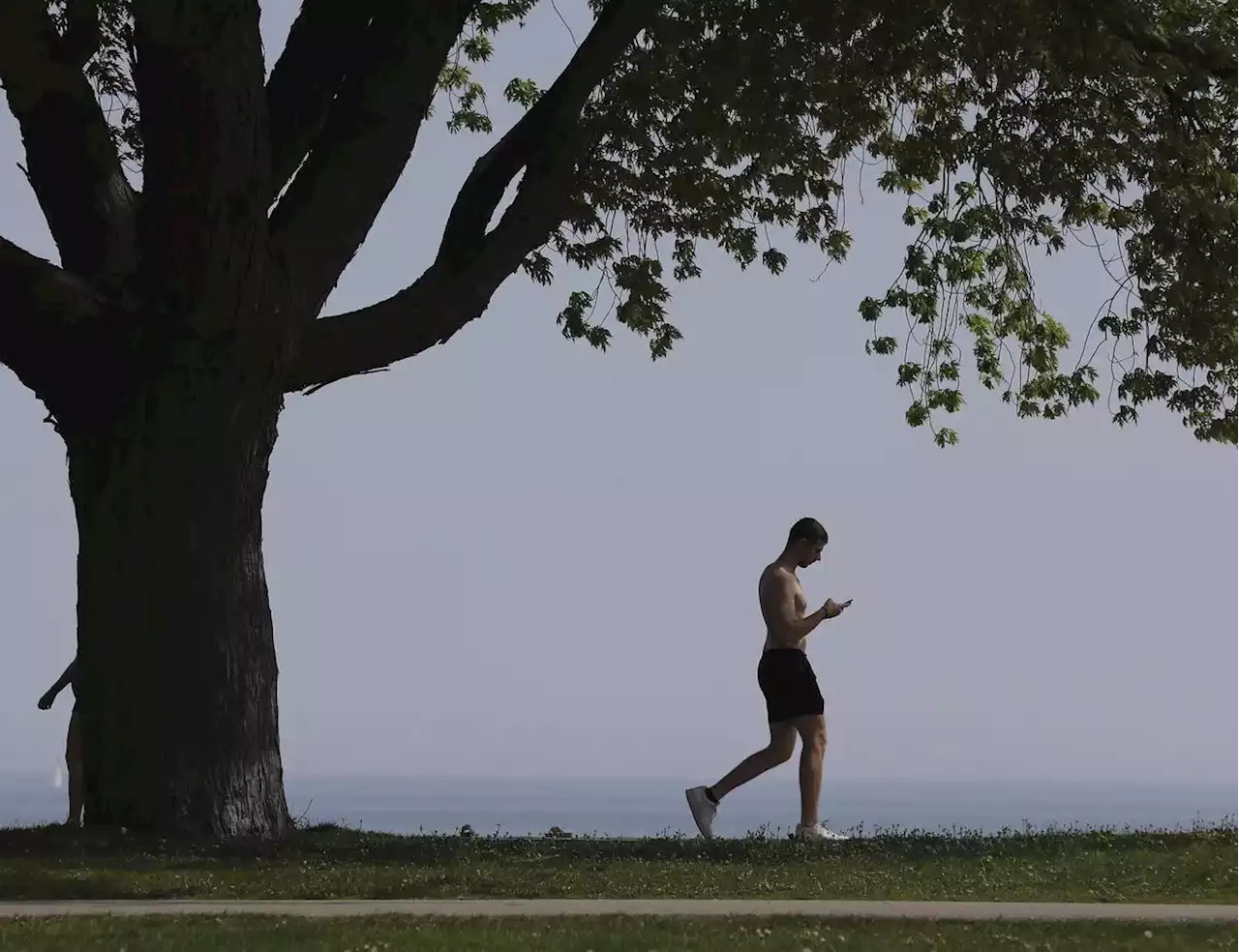Toronto to see six-day streak of daytime temperatures in the double-digits starting Friday