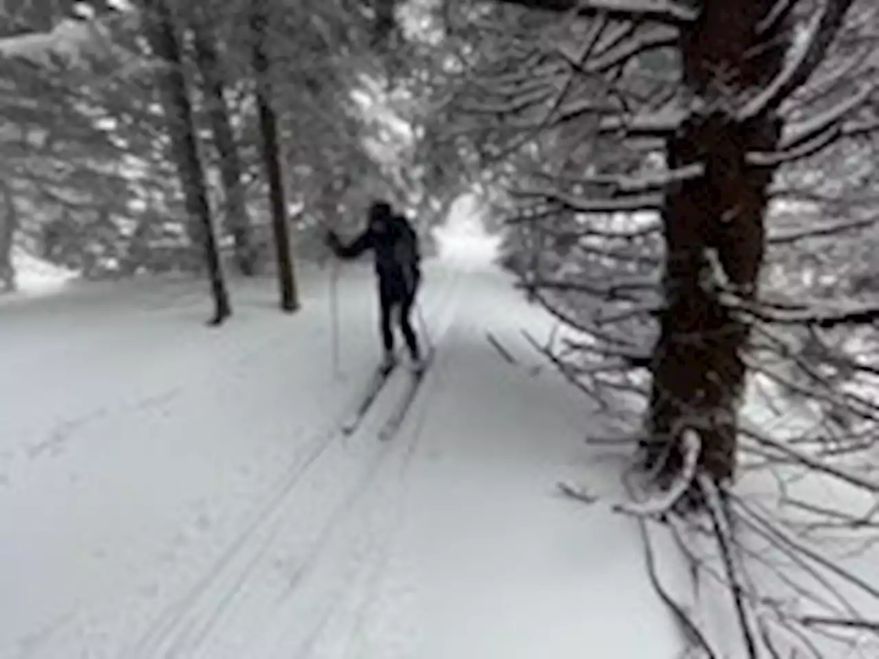 West Virginia sees biggest May snowfall on record with up to 16 inches