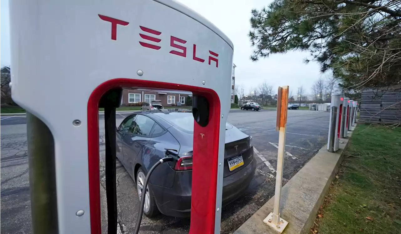 One dead after shooting at Colorado Tesla charging station