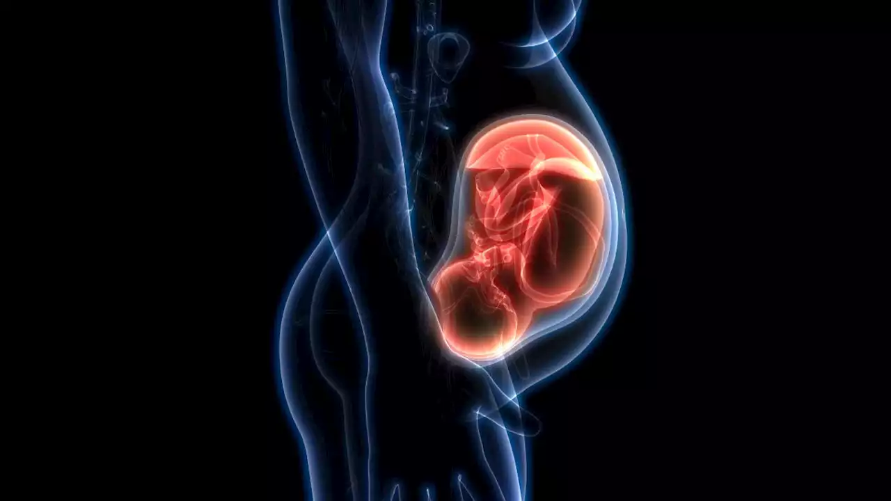 Doctors perform lifesaving brain surgery on fetus in the womb