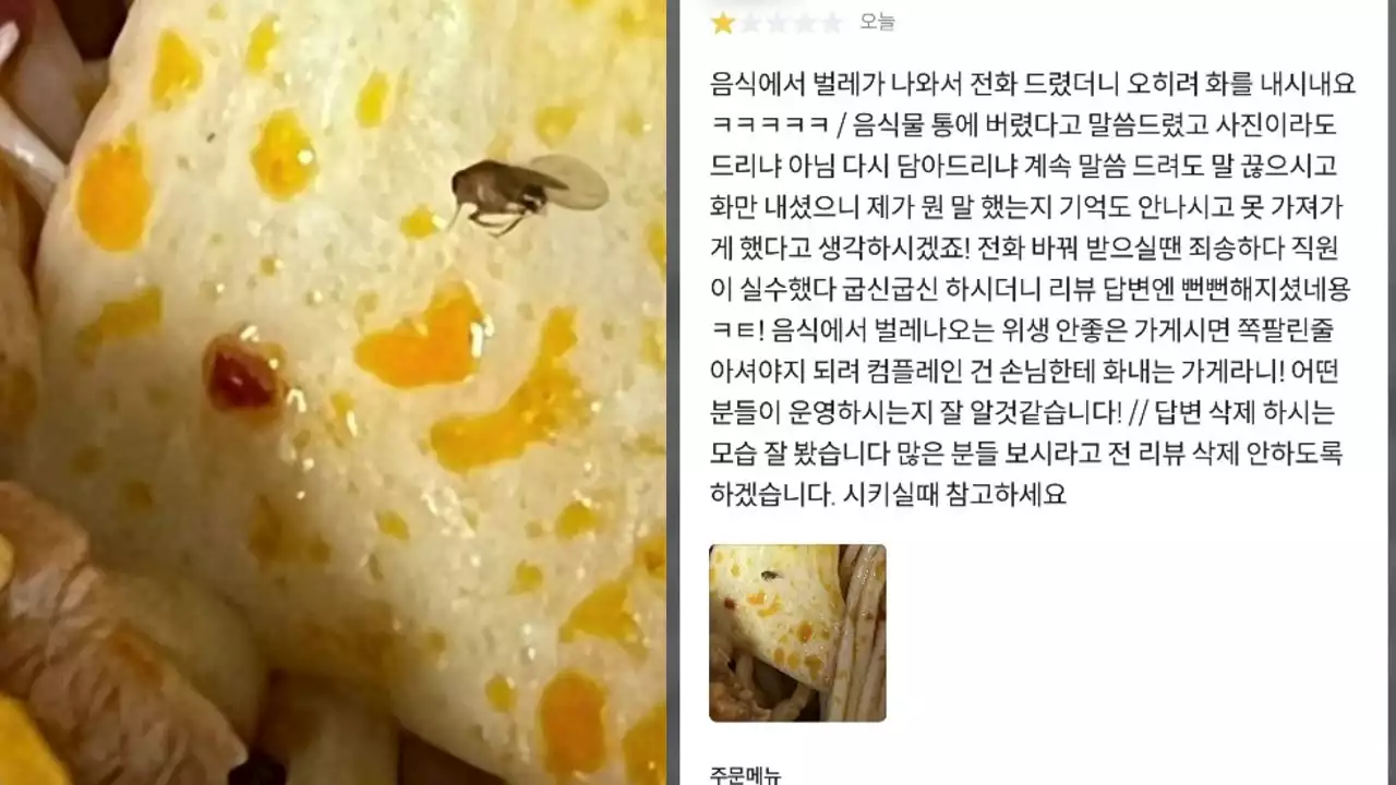 '파리 나왔다' 음식점 돌며 항의...울며 겨자먹기 환불