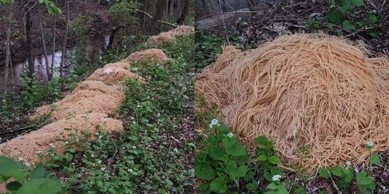 Hundreds of pounds of pasta mysteriously dumped next to creek