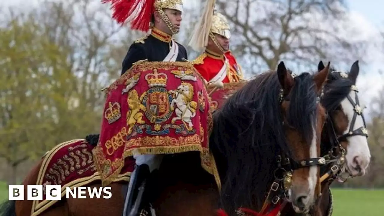 King Charles coronation: Pembrokeshire horse takes centre stage