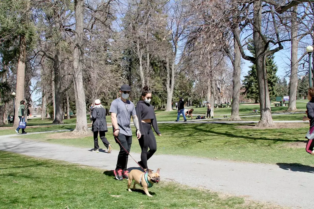 Best Place to People-Watch - Cheesman Park on a Sunday