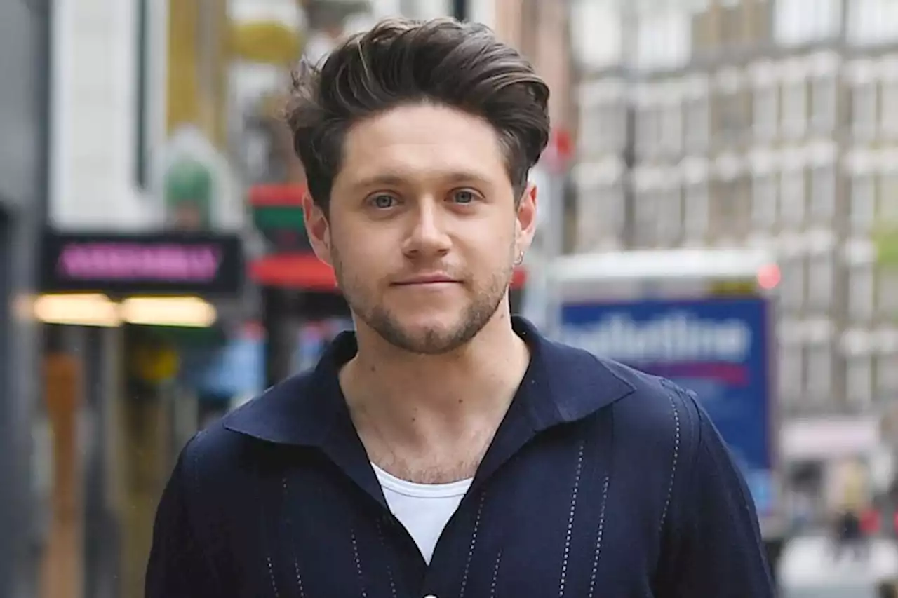 Niall Horan Responds To Harry Styles Saying ‘Never Say Never’ To 1D Reunion: ‘Same Thing As He Said’