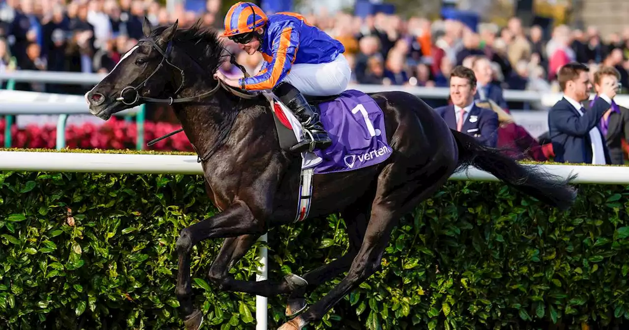Auguste Rodin and Little Big Bear give Aidan O’Brien strong hand in pursuit of another 2000 Guineas