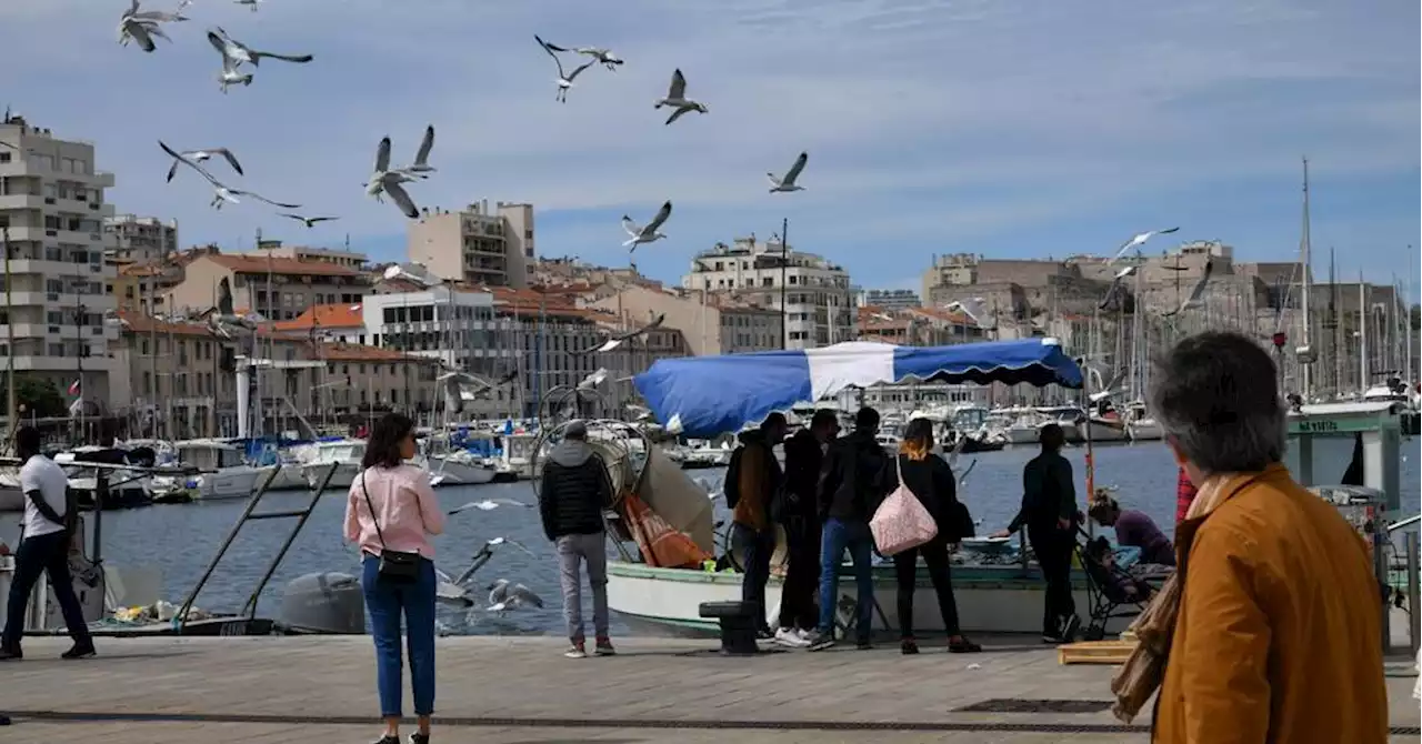 Marseille : 'Provençal, méditerranéen pour faire du bien', Benoît Payan défend son marché sur le Vieux-Port