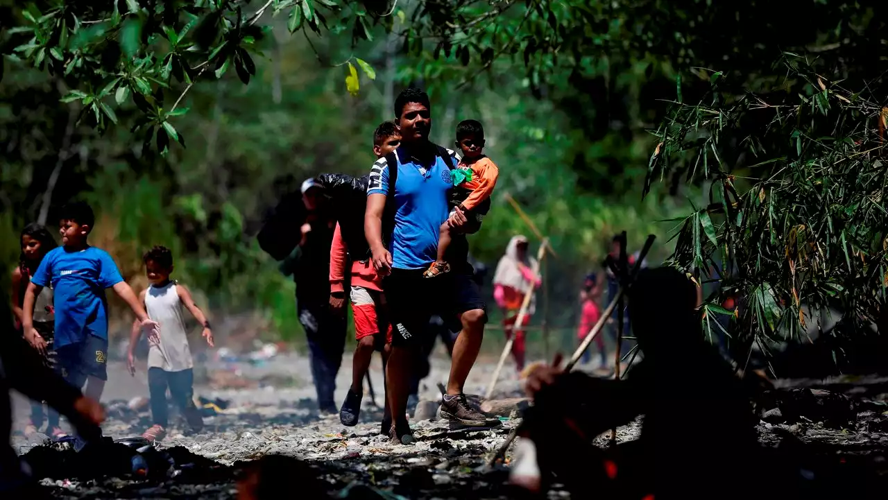 Cruz Roja: Ayuda en Darién se torna insuficiente ante la avalancha migratoria | Minuto30