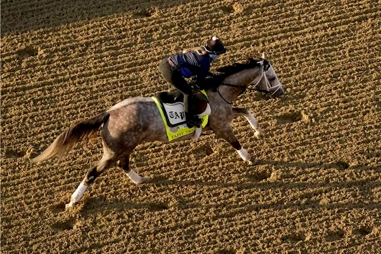 Who’ll win the 149th Kentucky Derby? Here are our staff’s picks