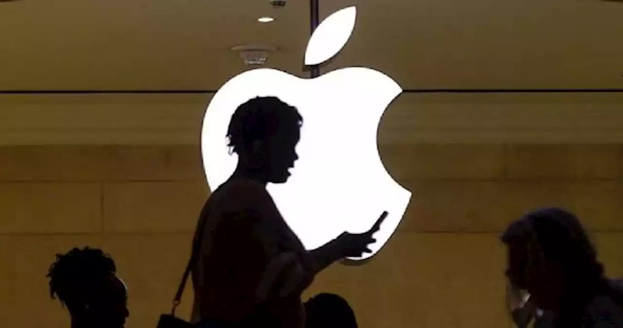 Apple's results send shares surging to 9 month high