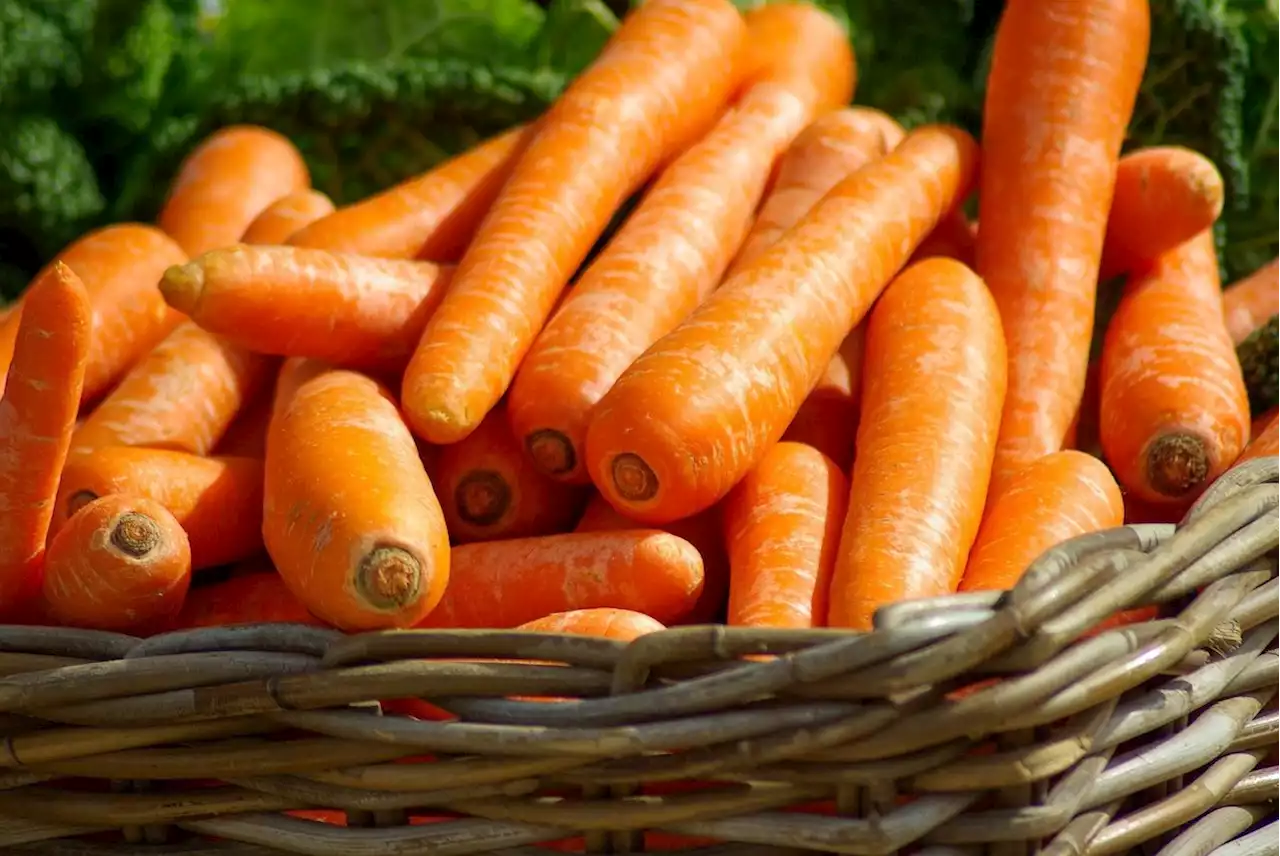 Voici 4 aliments à consommer pour préparer sa peau au soleil