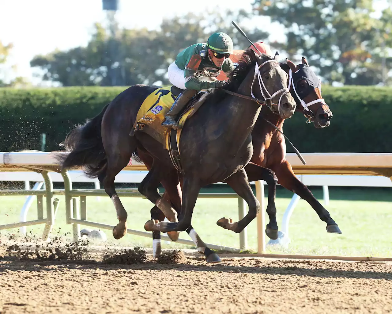 Kentucky Derby Odds & Betting Lines 2023 - Odds Shift After Forte Scratched