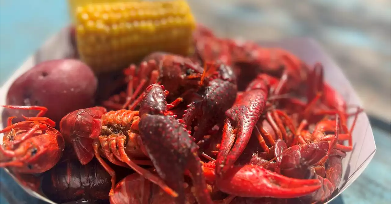 How Texas Crawfish Pop-Ups Bring Gulf Coast Culture to Austin