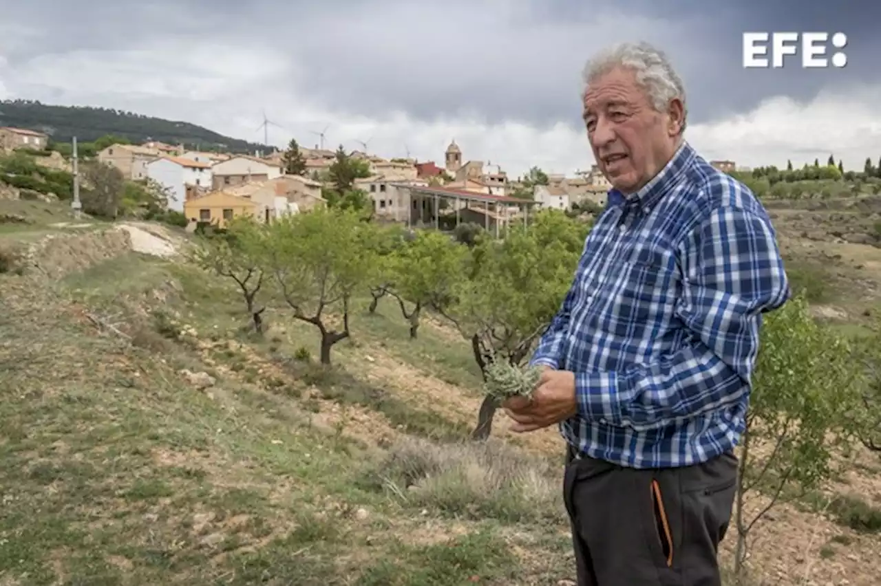 Éstos son los alcaldes españoles más veteranos