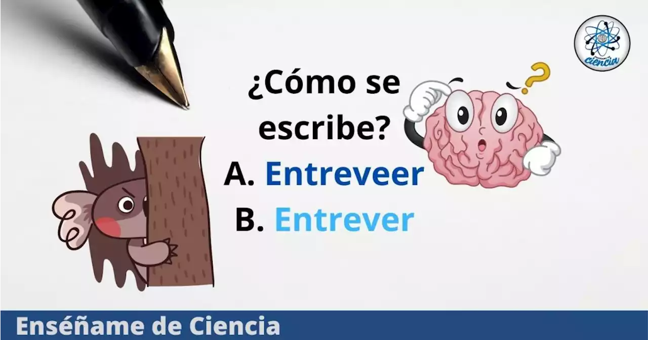 ¿Se escribe «entreveer» o «entrever»? Resuelve esta duda de la RAE