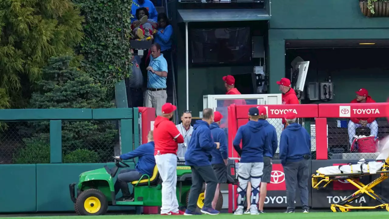 Red Sox-Phillies Game Halted After Fan Falls Into Visitor's Bullpen