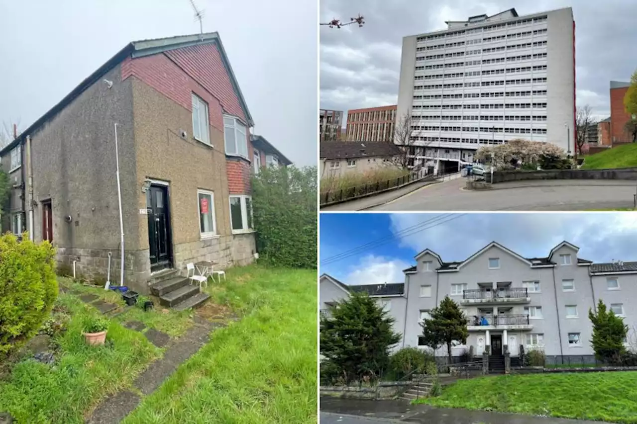 Glasgow flats up for auction with prices from £55k