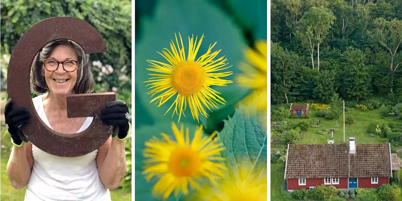 Gun visste direkt när hon såg huset på åsen: ”Min plats på jorden”