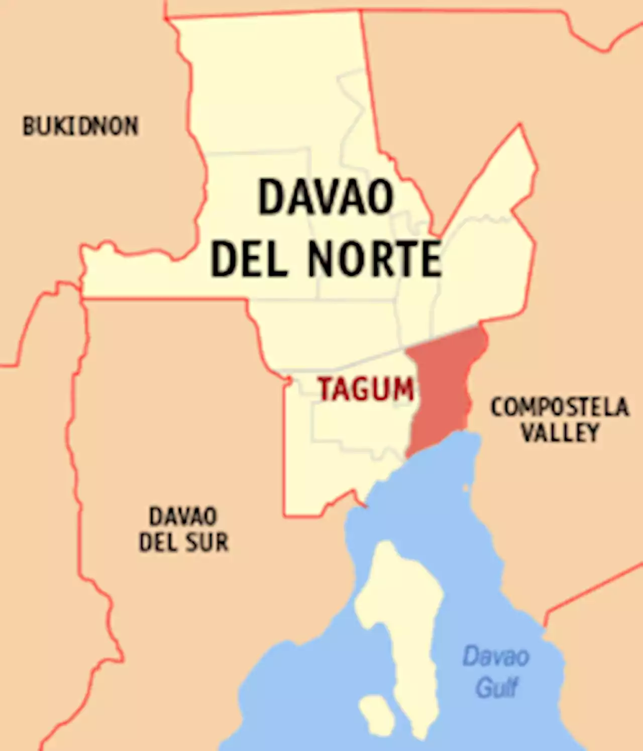 Davao del Norte Catholic school probes alleged student bullying caught on video