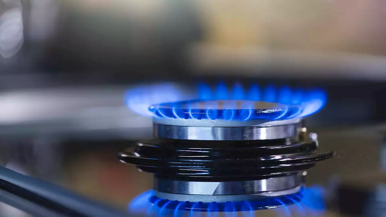 In historic move, New York State bans gas appliances in new buildings