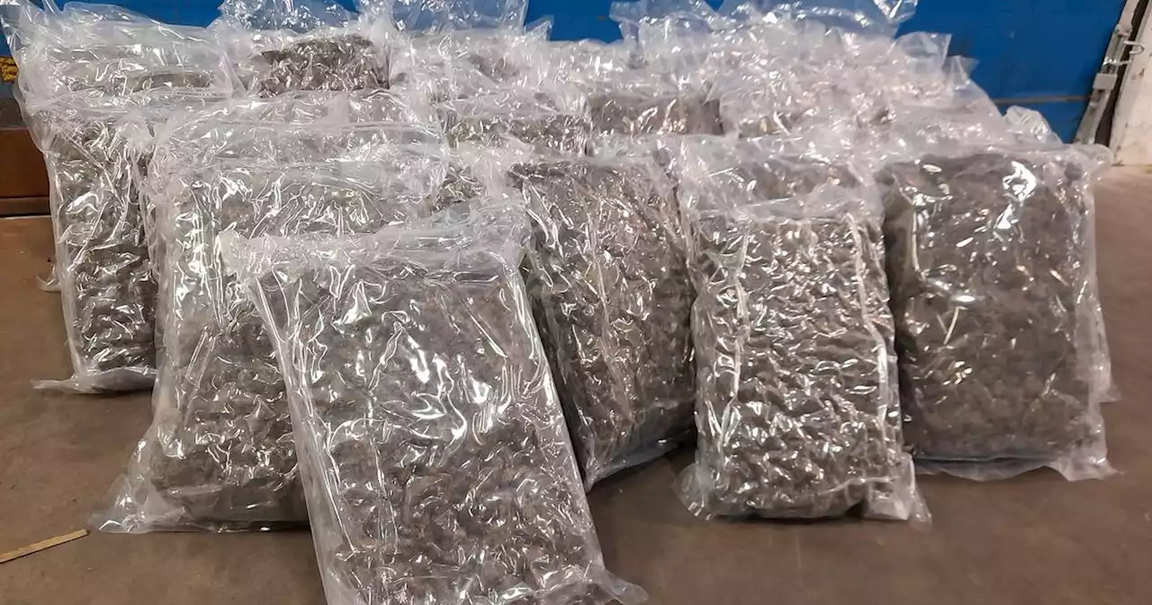 Gardaí and customs seize cannabis worth €750,000