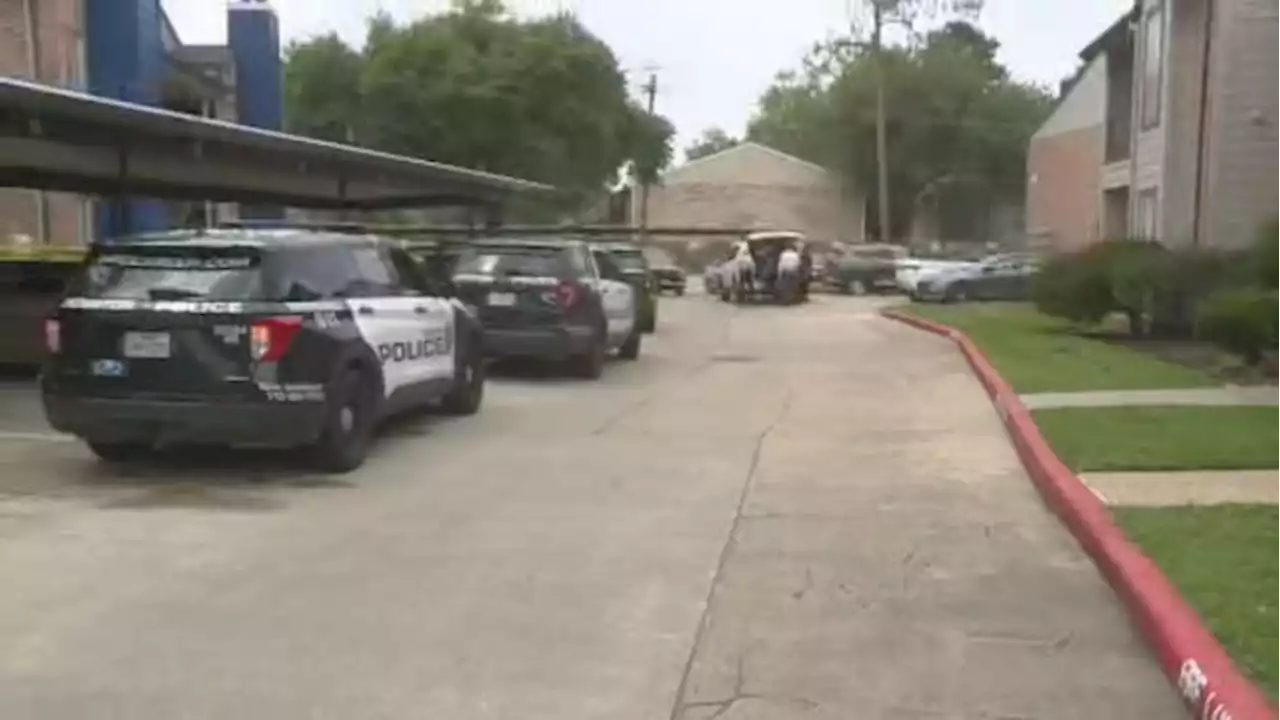 1 dead after shooting in W. Houston