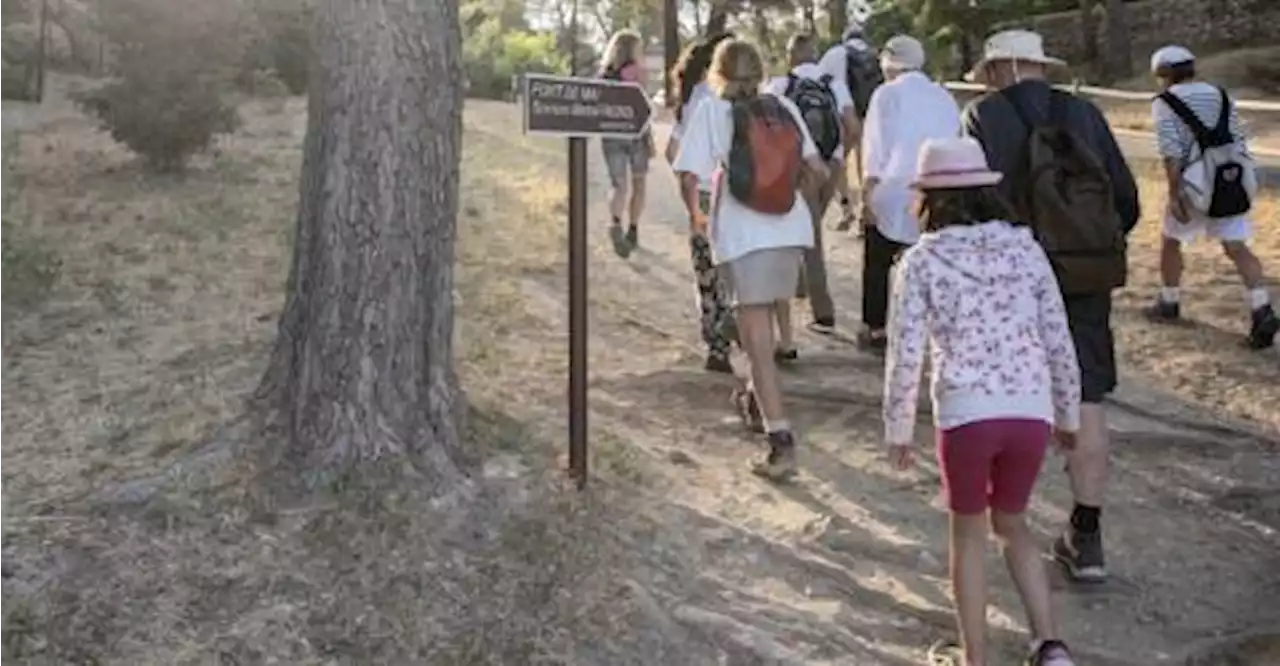 [Aubagne] Le festival de randonnée : trois jours d’explorations des terres provençales