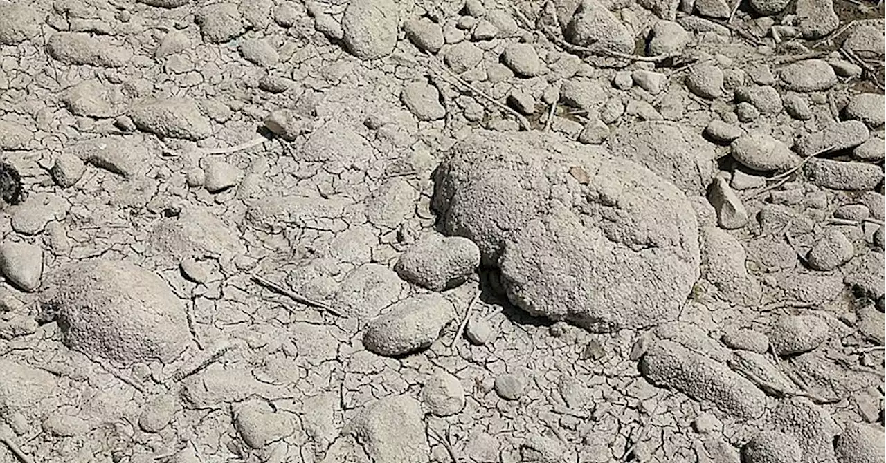 L'état de catastrophe naturelle Mouvements de terrain reconnu dans les Alpes-de-Haute-Provence