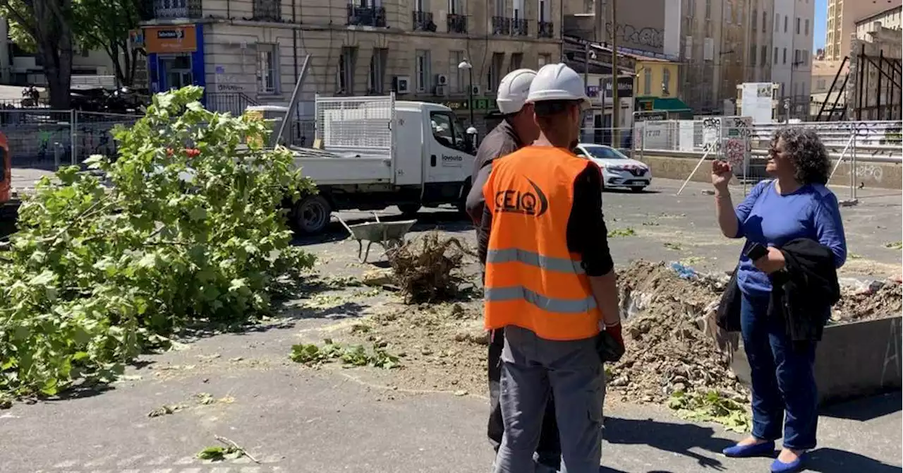 La Ville de Marseille fait interrompre l'abattage d'arbres sur le chantier de la place Jules-Guesde