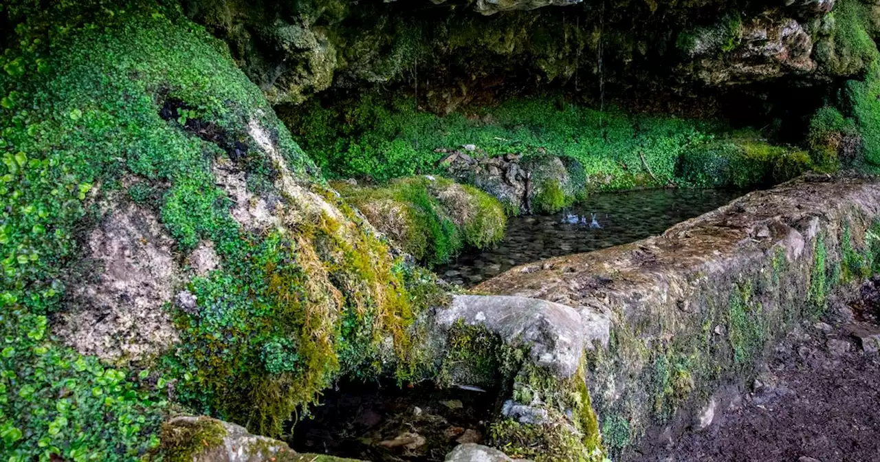 Lancs' hidden springs found beneath a rockface just outside peaceful village